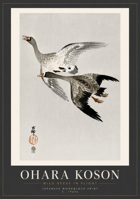 Ohara Koson Wild Geese in Flight III No5 - Affiche