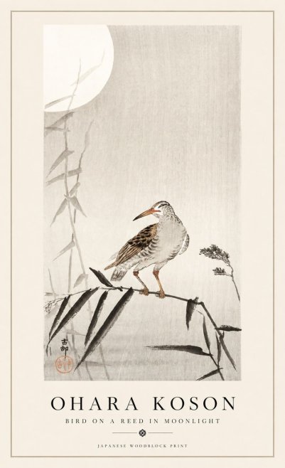 Ohara Koson Bird on a Reed in Moonlight No1 - Affiche