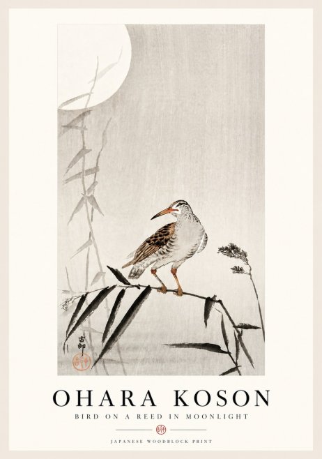 Ohara Koson Bird on a Reed in Moonlight No4 - Affiche