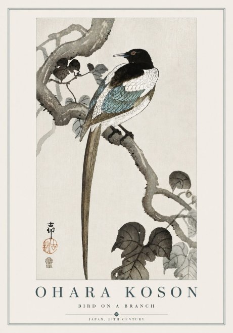 Ohara Koson Bird on a Branch IV No5 - Affiche