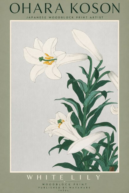 Ohara Koson White Lily No2 - Affiche