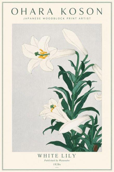 Ohara Koson White Lily No3 - Affiche