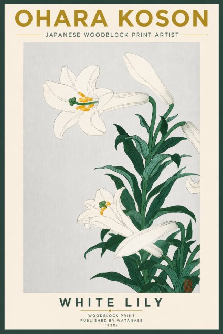Ohara Koson White Lily No5 - Affiche
