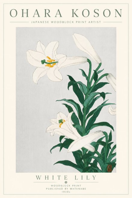 Ohara Koson White Lily No6 - Affiche