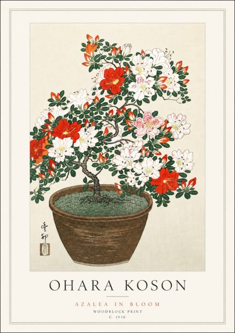 Ohara Koson Azalea in Bloom No3 - Affiche