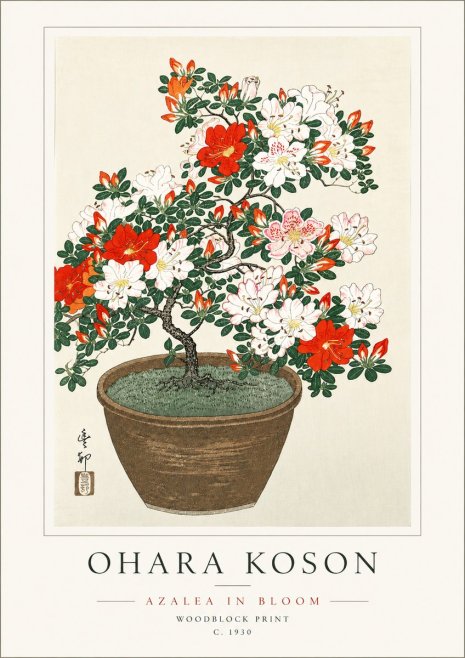 Ohara Koson Azalea in Bloom No6 - Affiche