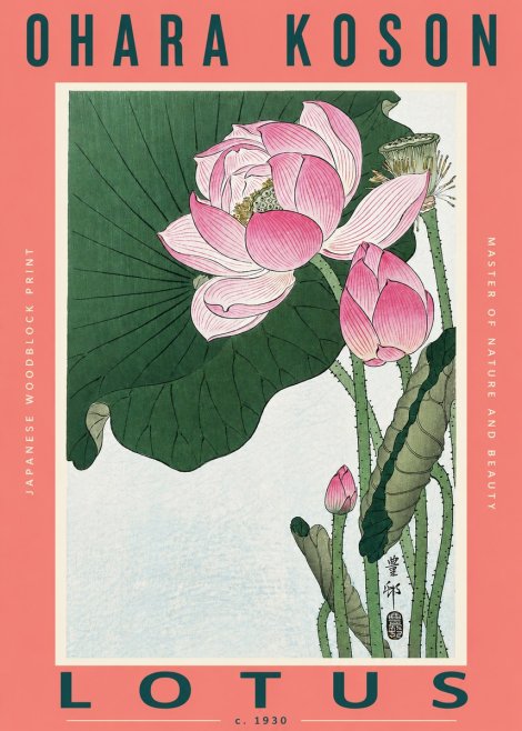 Ohara Koson Lotus II No2 - Affiche