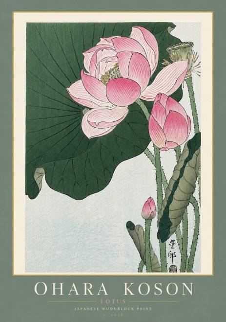 Ohara Koson Lotus II No4 - Affiche