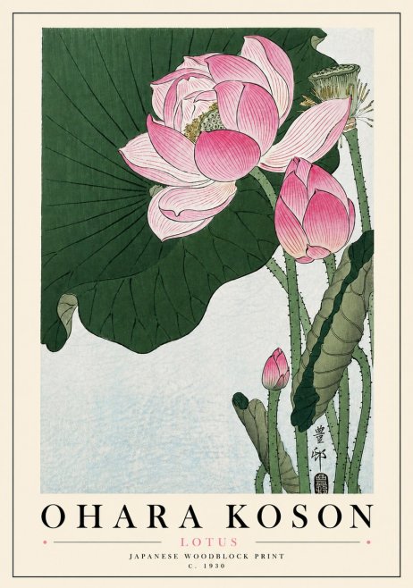 Ohara Koson Lotus II No5 - Affiche
