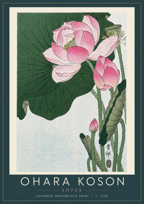 Ohara Koson Lotus II No6 - Affiche