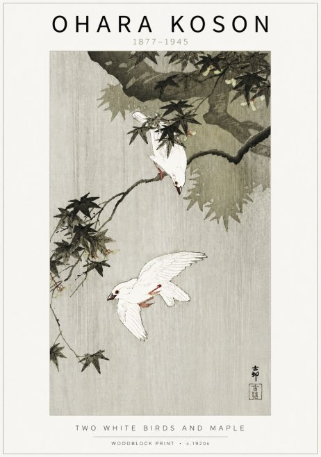 Ohara Koson Two White Birds and Maple No5 - Affiche