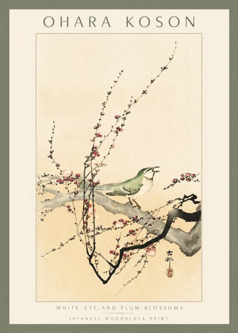 Ohara Koson White-eye and Plum Blossoms No2 - Affiche