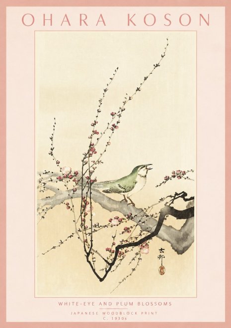Ohara Koson White-eye and Plum Blossoms No3 - Affiche
