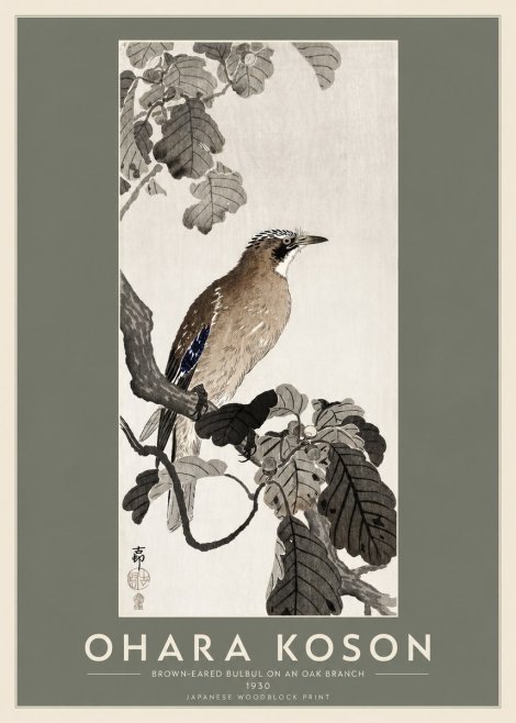 Ohara Koson Brown-eared Bulbul on an Oak Branch No2 - Affiche