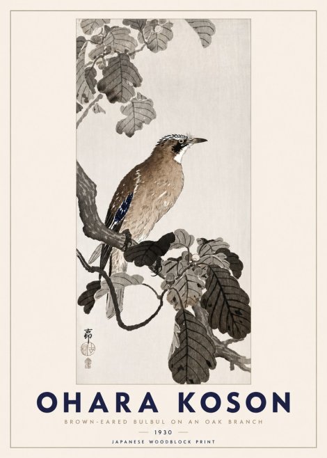 Ohara Koson Brown-eared Bulbul on an Oak Branch No3 - Affiche