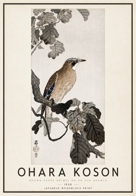 Ohara Koson Brown-eared Bulbul on an Oak Branch No4 - Affiche