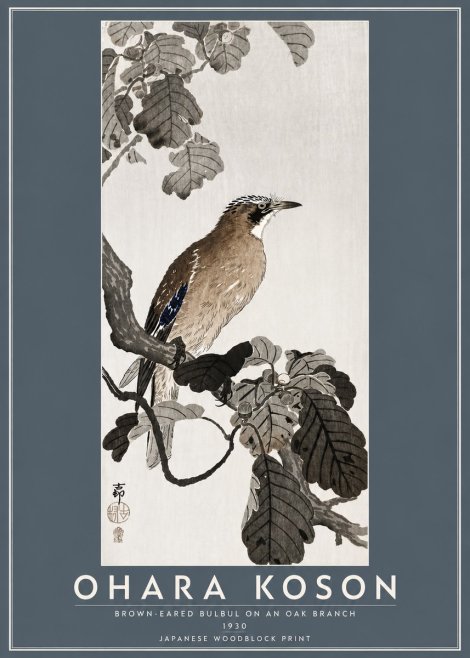 Ohara Koson Brown-eared Bulbul on an Oak Branch No5 - Affiche