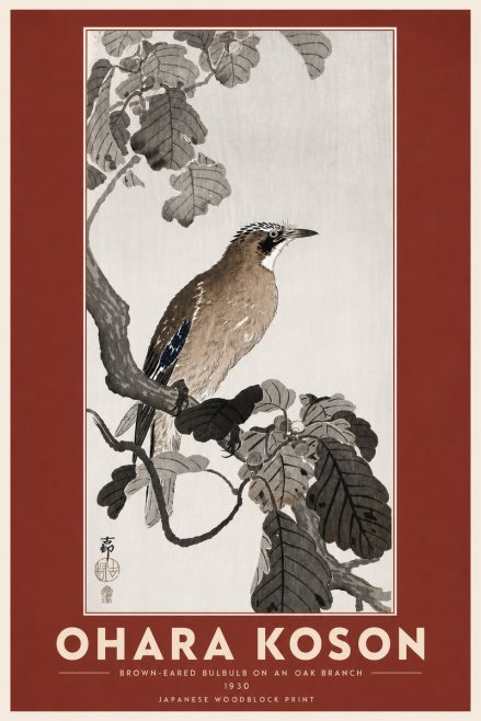 Ohara Koson Brown-eared Bulbul on an Oak Branch No6 - Affiche