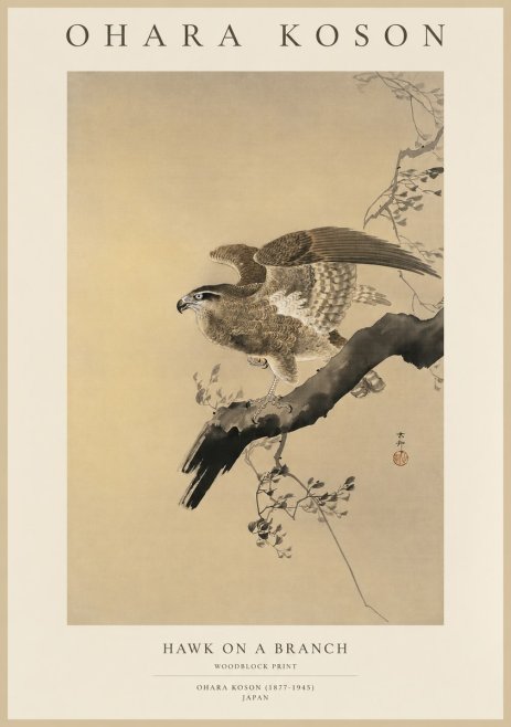 Ohara Koson Hawk on a Branch I No1 - Affiche