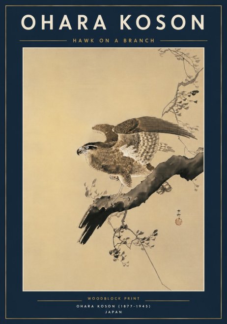 Ohara Koson Hawk on a Branch I No6 - Affiche