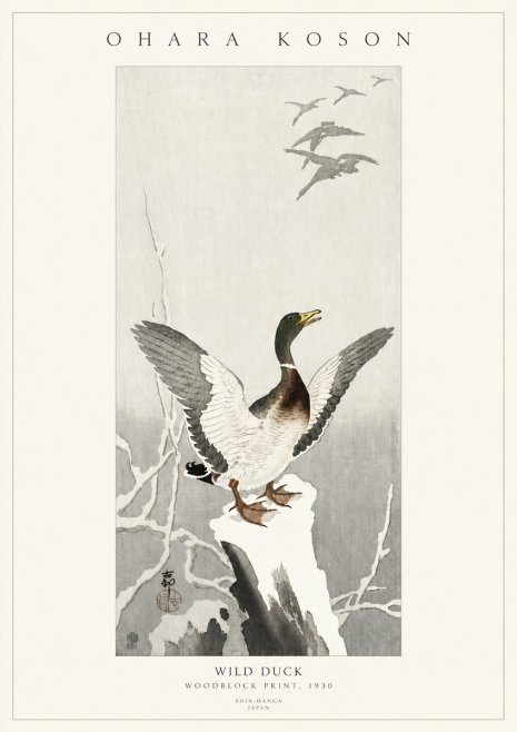 Ohara Koson Wild Duck No3 - Affiche