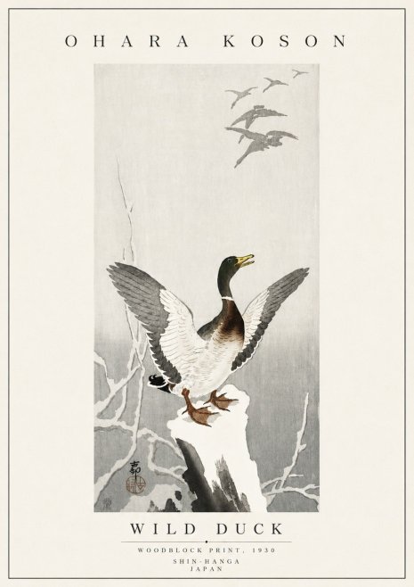 Ohara Koson Wild Duck No5 - Affiche