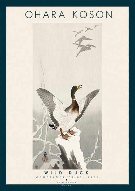 Ohara Koson Wild Duck No6 - Affiche