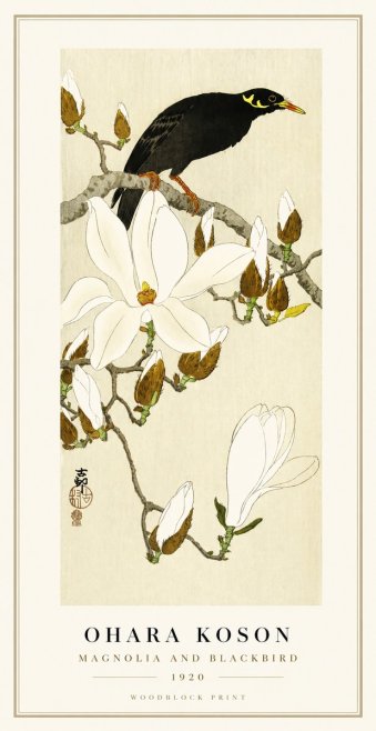 Ohara Koson Magnolia and Blackbird No1 - Affiche