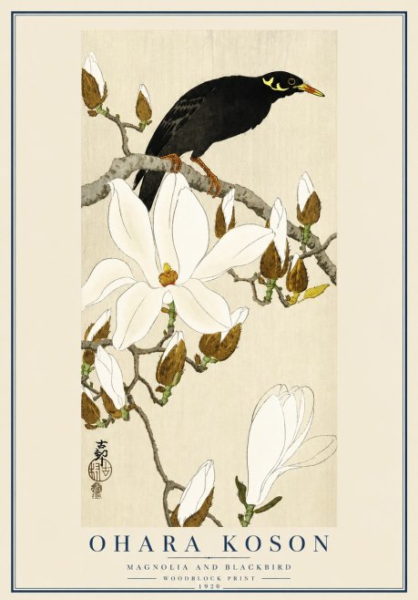 Ohara Koson Magnolia and Blackbird No3 - Affiche