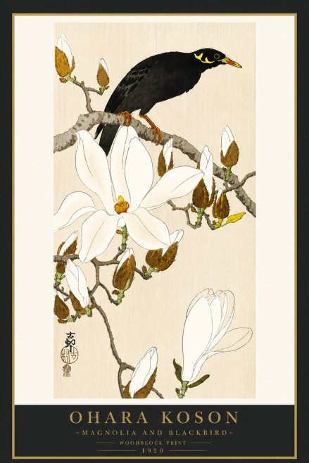 Ohara Koson Magnolia and Blackbird No4 - Affiche