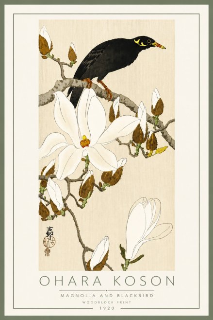 Ohara Koson Magnolia and Blackbird No5 - Affiche
