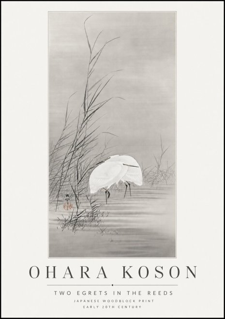 Ohara Koson Two Egrets in the Reeds No3 - Affiche