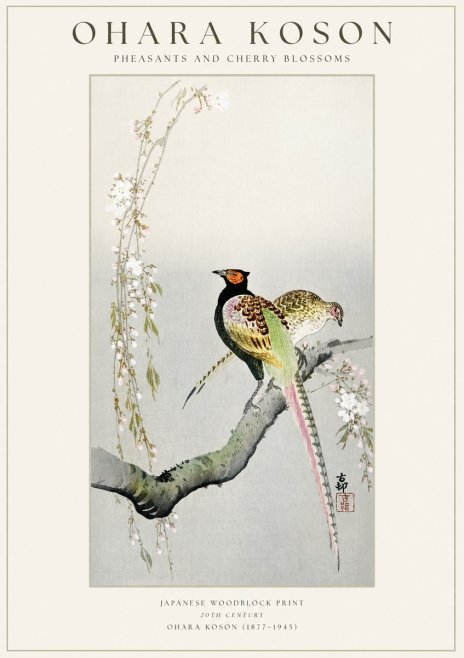 Ohara Koson Pheasants and Cherry Blossoms II No1 - Affiche