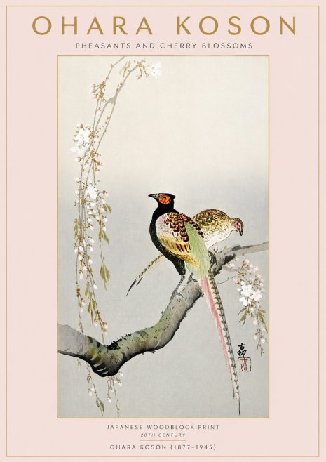 Ohara Koson Pheasants and Cherry Blossoms II No3 - Affiche