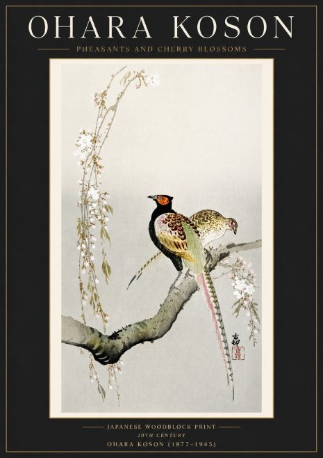 Ohara Koson Pheasants and Cherry Blossoms II No4 - Affiche