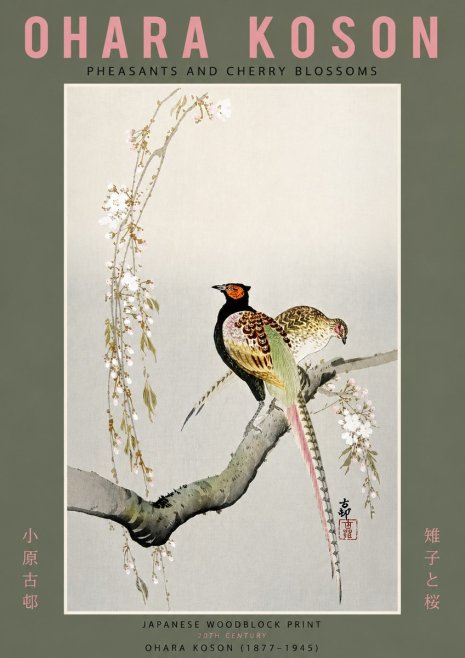 Ohara Koson Pheasants and Cherry Blossoms II No6 - Affiche