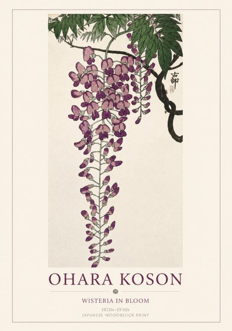 Ohara Koson Wisteria in Bloom No1 - Affiche