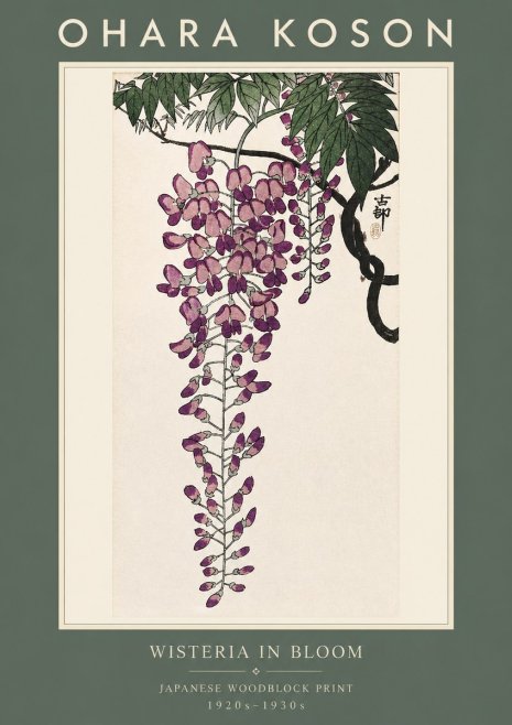 Ohara Koson Wisteria in Bloom No2 - Affiche