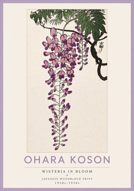 Ohara Koson Wisteria in Bloom No4 - Affiche