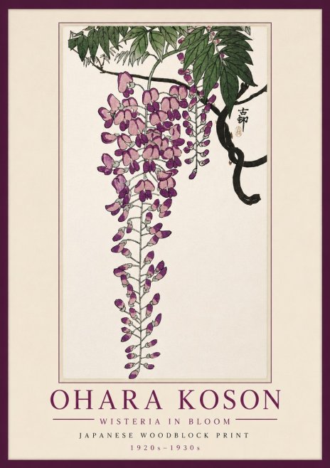 Ohara Koson Wisteria in Bloom No5 - Affiche