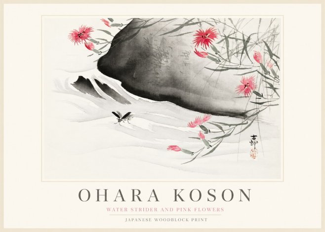 Ohara Koson Water Strider and Pink Flowers No1 - Affiche