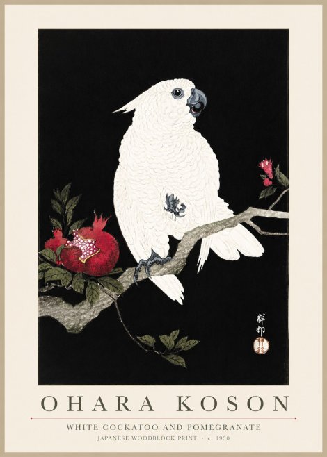 Ohara Koson White Cockatoo and Pomegranate I No3 - Affiche