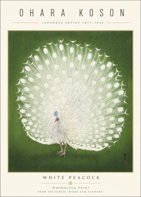Ohara Koson White Peacock No3 - Affiche