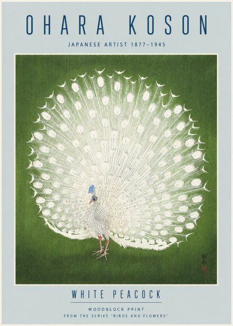 Ohara Koson White Peacock No4 - Affiche