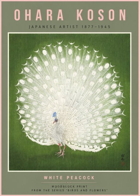 Ohara Koson White Peacock No6 - Affiche