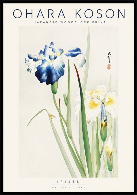 Ohara Koson Irises II No3 - Affiche