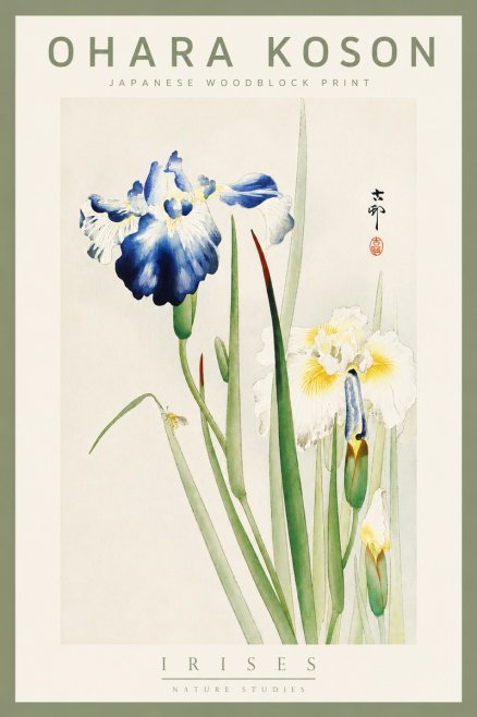 Ohara Koson Irises II No5 - Affiche