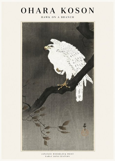 Ohara Koson Hawk on a Branch II No1 - Affiche