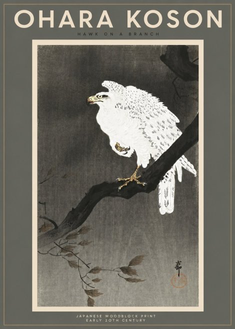 Ohara Koson Hawk on a Branch II No2 - Affiche