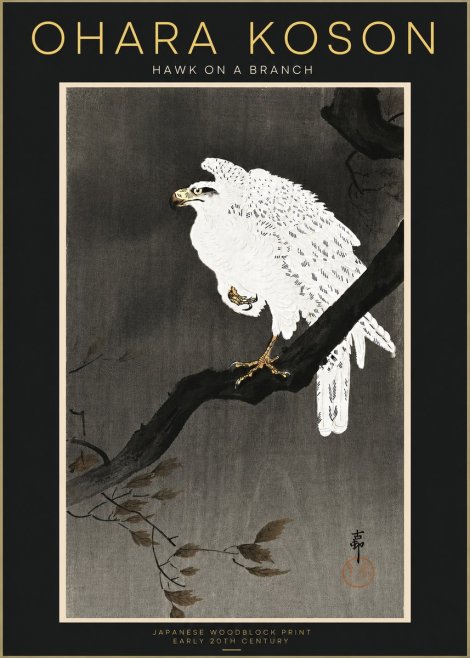 Ohara Koson Hawk on a Branch II No4 - Affiche